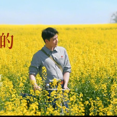 Love Story in the 1970s (2026)