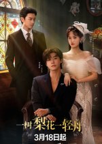 The Fatal Bloom Chinese Drama photo