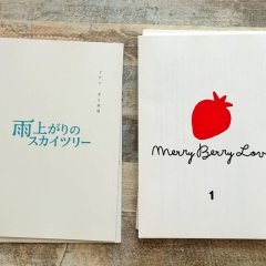 Merry Berry Love Japanese Drama(2026) photo