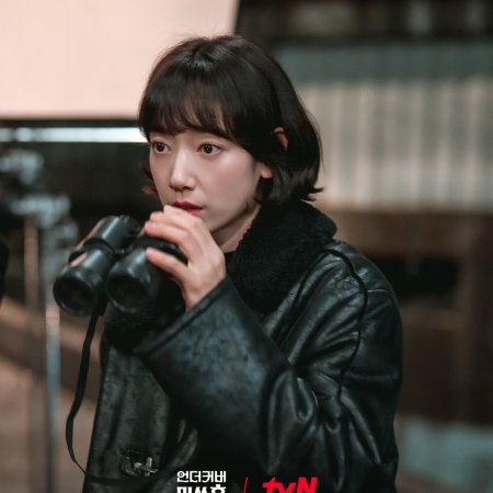 Undercover Miss Hong (2026)