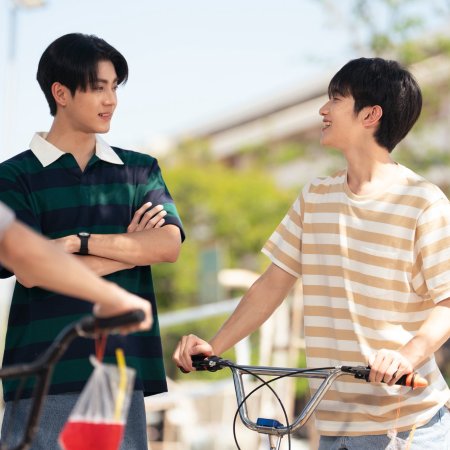 When Oranges Fall ()