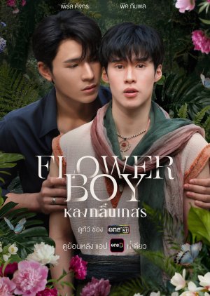 Flower Boy (0000) poster