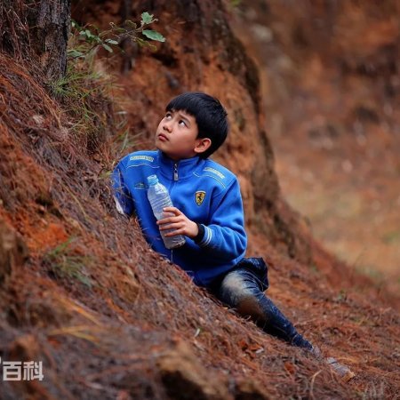 Cong Fan Da Fu Cun (2013)