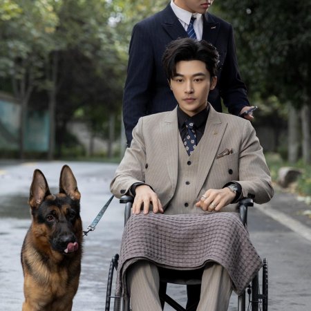 My Miracle Doctor Wife (2024)