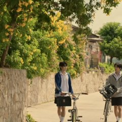 When Oranges Fall Thai Drama(2026) photo
