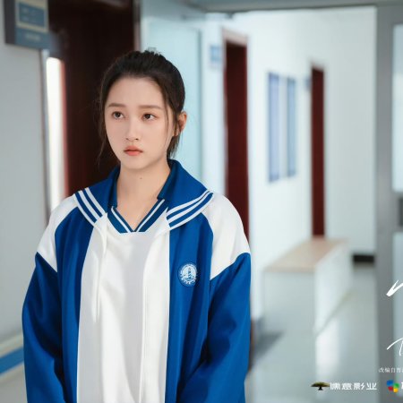 Dazzling (2026)