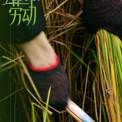 The Answer Is Earth Chinese TV Program(2026) photo