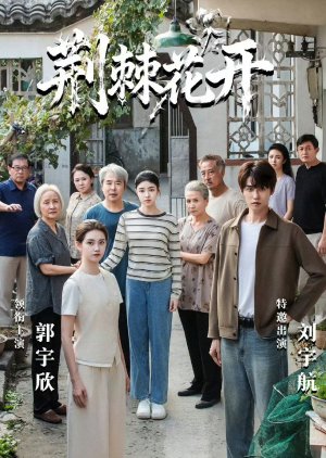 Jing Ji Hua Kai (2026) poster