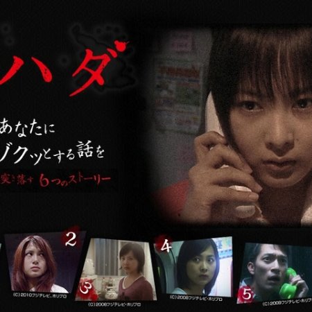 Torihada (2007)