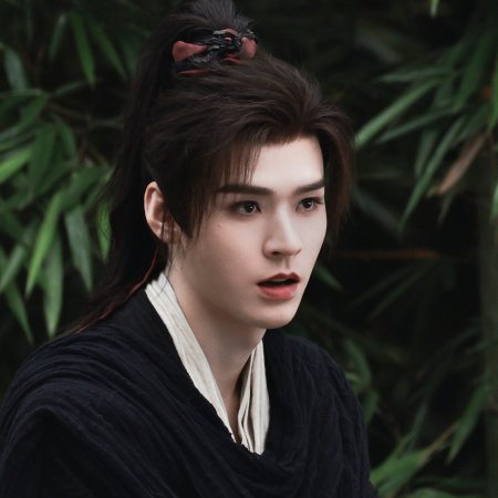 The Legend of Lu Xiaofeng ()