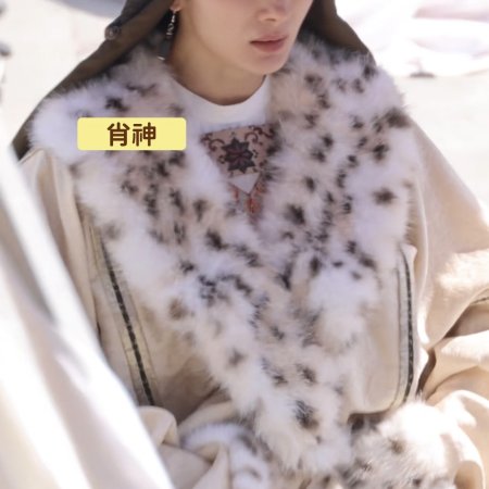 Northern Wei Dynasty ()