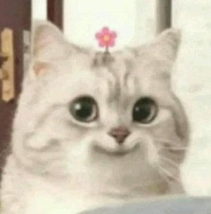 Rie