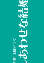 Their Marriage Japanese Drama photo