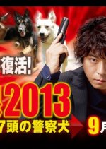 Tokusou Saizensen 2013 ~ Shichitou no Keisatsuken Japanese Drama photo