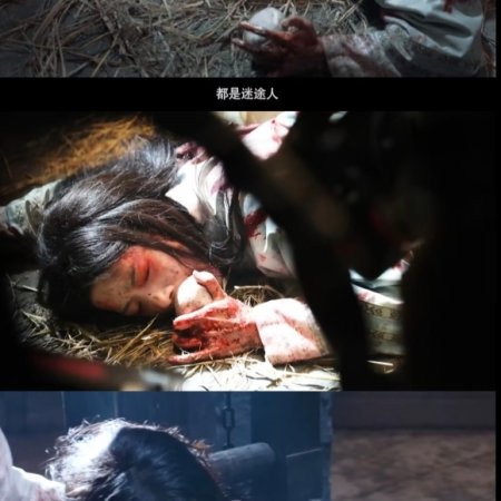 Lu Yu Xiao