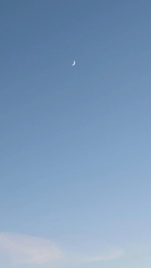 di