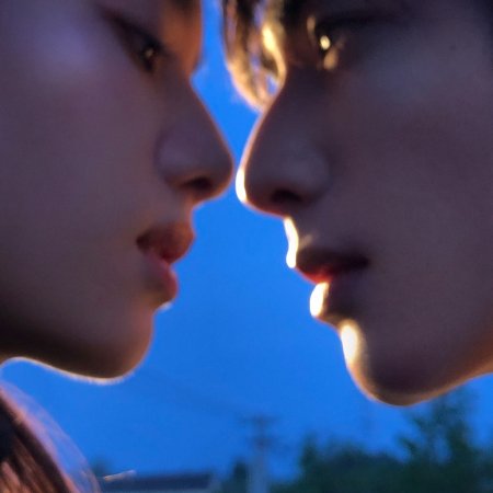 Love for You (2026)
