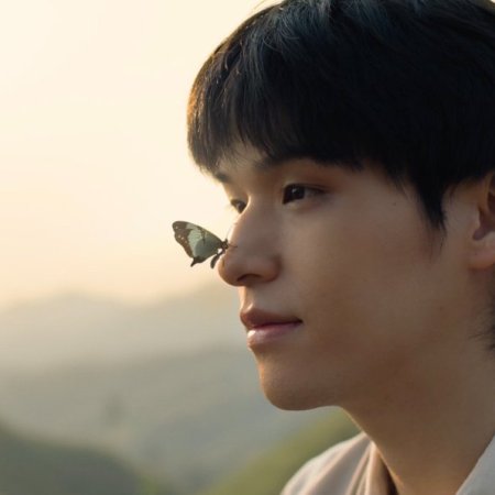 Wu (2026)