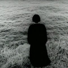 The Ring Virus Korean Movie photo