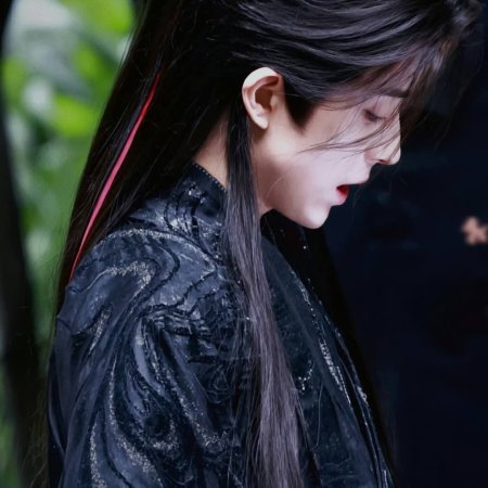Cuo Shi Lu ()