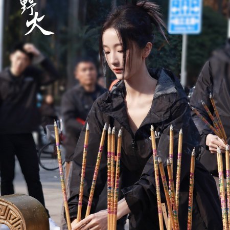 Ta Si Ye Huo ()