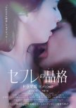 S-Friends: Serial Edition Season 2