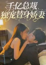 Qian Yi Zong Cai Du Chong Ti Shen Jiao Qi Chinese Drama(2024) photo