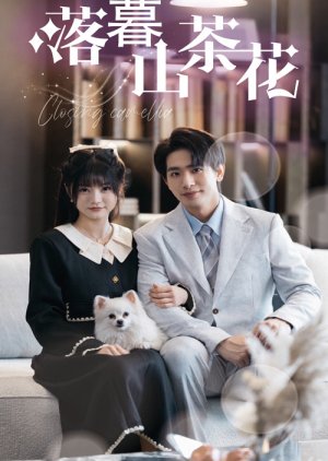 Closing Camellia poster