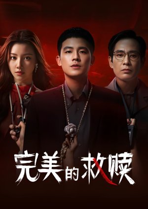 The Perfect Suspect poster