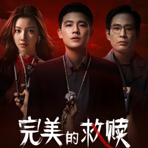 The Perfect Suspect (2025)