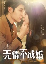 A Marriage without Love Is No True Union Chinese Drama(2025) photo