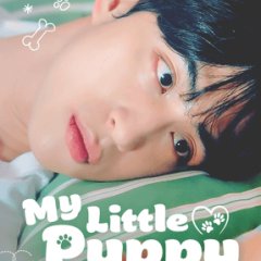 My Little Puppy Korean Drama photo