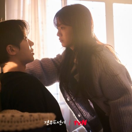 Head over Heels (2025)