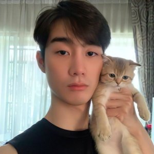 Vivi