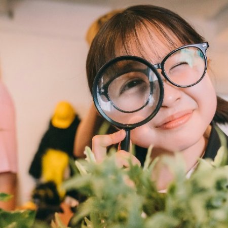 Your Divorce Is Served! (2025)