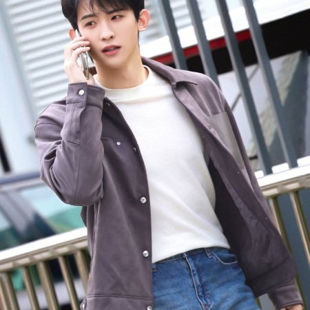 The Vanishing Beauty ()