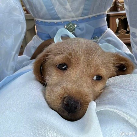 Fight for Love (2025)