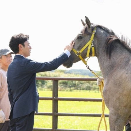Passing the Reins (2025)