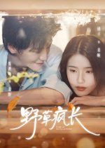 Weeds Are Thriving Unchecked Chinese Drama(2025) photo