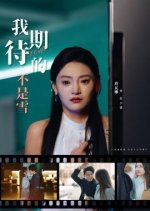 Wo Qi Dai De Bu Shi Xue Chinese Drama(2025) photo
