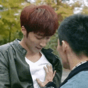 Guess the BL by its chaotic character!