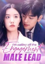 I Am Calling off My Wedding with the Male Lead Korean Drama(2024) photo