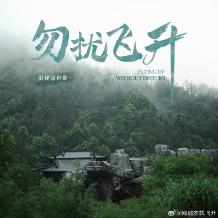 Flying up without Disturb (2025)