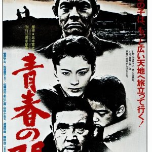 Seishun no Mon (1981)