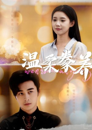 Wen Rou Huan Yang (2024) poster
