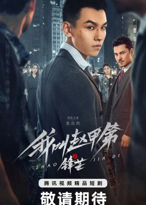 The Rise of Zhao Jiadi poster