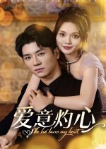 The Love Burns My Heart Chinese Drama photo