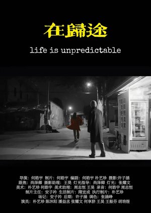 Life Is Unpredictable (2025) poster
