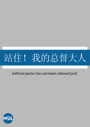 Stand Still! Mr. CEO () poster