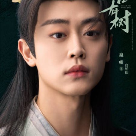 Love of the Divine Tree (2025)